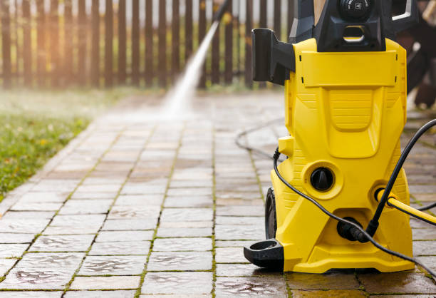 Best Sidewalk and Walkway Cleaning  in White Pine, TN